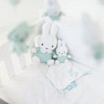 Nijntje Knuffel Mint