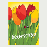 Wenskaart Beterschap bloemen