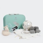 Suitcase