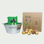 Tulip bulb package