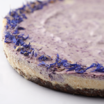 Vegan blueberry cheesecake