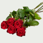 Long red roses