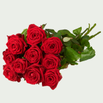 Long red roses