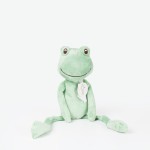 Frog Flavio
