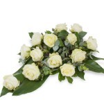 White Rose groot