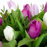 Boeket Thara pastel