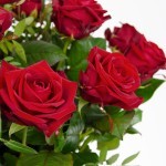 Boeket Romy rood