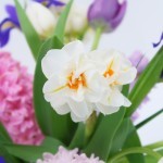 Brievenbus voorjaarsbloemen